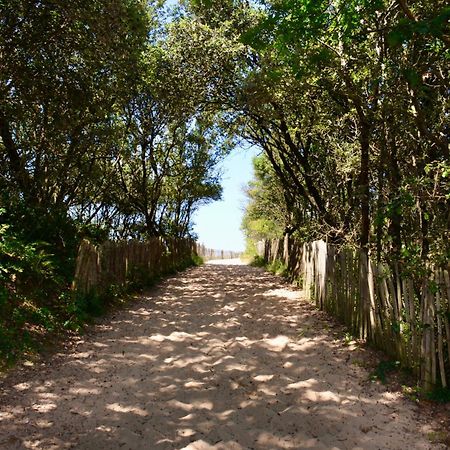 Camping Le Clos Des Pins Longeville-sur-Mer Εξωτερικό φωτογραφία